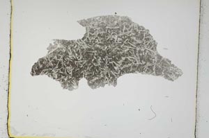 Plane Polarized, S2618