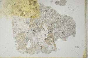 Plane Polarized, S12322