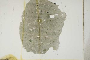 Plane Polarized, S12323