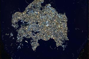 Cross Polarized, S12328