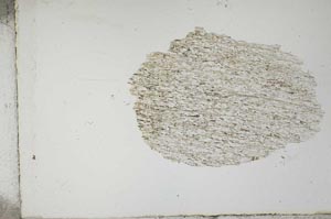 Plane Polarized, S12363