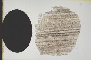 Plane Polarized, S12377