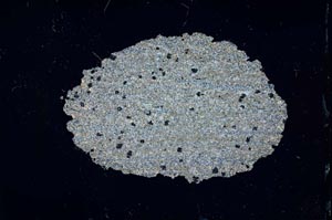 Cross Polarized, S12378