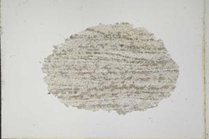 Plane Polarized, S12378