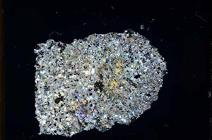 Cross Polarized, S12379