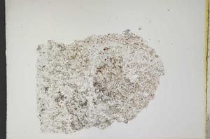 Plane Polarized, S12379