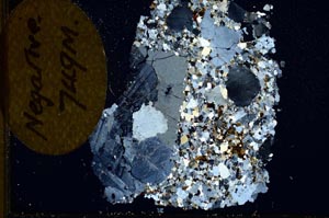 Cross Polarized, S12380