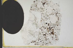 Plane Polarized, S12380