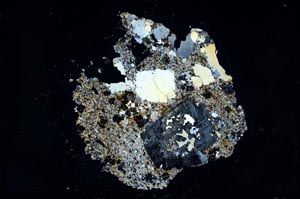 Cross Polarized, S12381