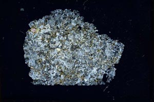 Cross Polarized, S12382