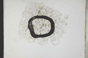Plane Polarized, S12398