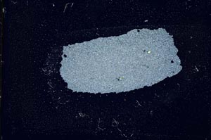 Cross Polarized, S12407