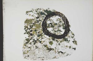 Plane Polarized, S12420