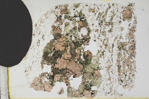 Plane Polarized, S12421/A