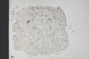 Plane Polarized, S12423