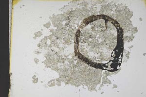 Plane Polarized, S12424