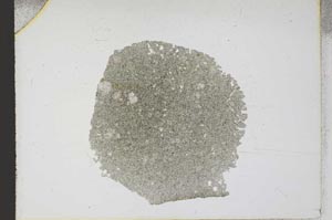 Plane Polarized, S12426