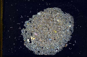 Cross Polarized, S12427