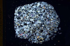 Cross Polarized, S12428