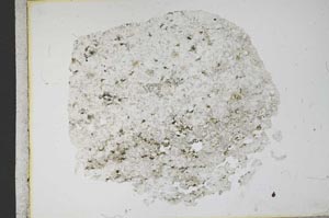 Plane Polarized, S12428