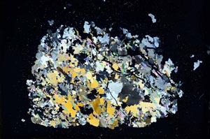 Cross Polarized, S12429