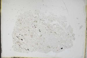 Plane Polarized, S12429