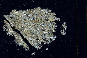 Cross Polarized, S12430