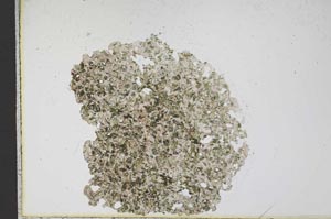 Plane Polarized, S12431