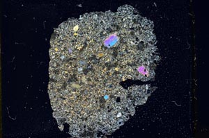 Cross Polarized, S12435