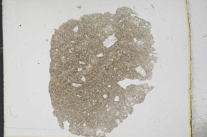 Plane Polarized, S12435