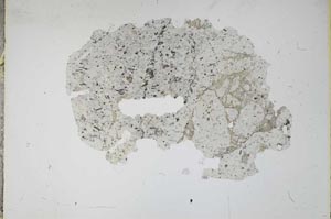 Plane Polarized, S12439