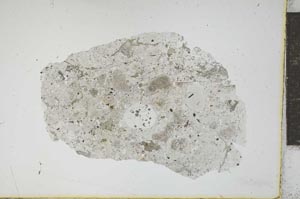 Plane Polarized, S12440