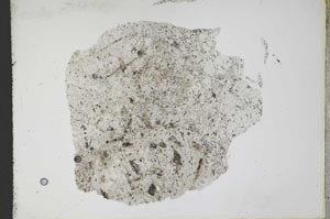 Plane Polarized, S12447