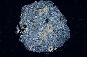 Cross Polarized, S12454