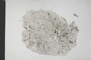Plane Polarized, S12463