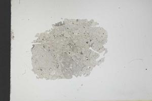 Plane Polarized, S12474