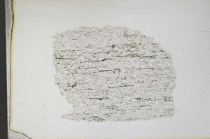 Plane Polarized, S12484