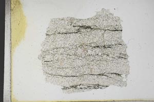 Plane Polarized, S12485