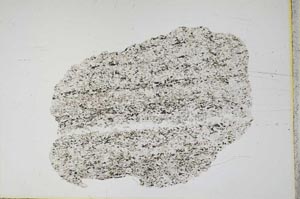 Plane Polarized, S12497