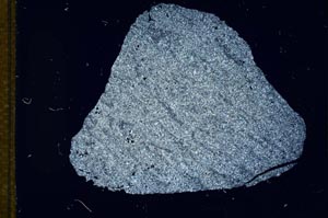 Cross Polarized, S12539