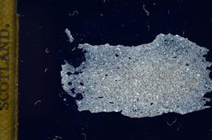 Cross Polarized, S12540