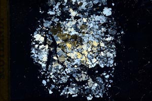 Cross Polarized, S12541