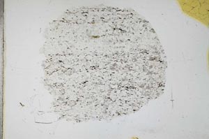 Plane Polarized, S12546