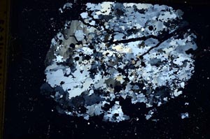 Cross Polarized, S12555