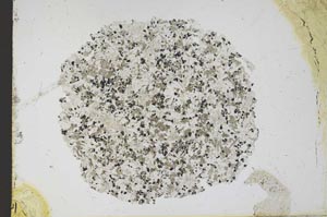 Plane Polarized, S12560