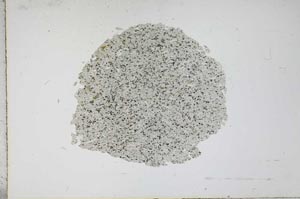 Plane Polarized, S12575