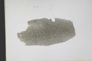 Plane Polarized, S12584