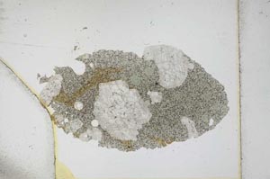 Plane Polarized, S12585