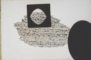 Plane Polarized, S12596