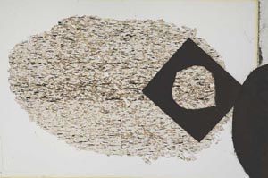 Plane Polarized, S12598